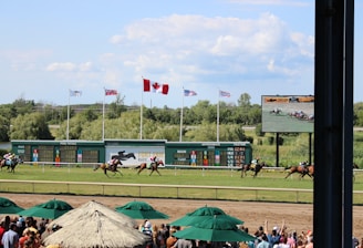 A horse racing event is taking place on a sunny day, with a racecourse surrounded by greenery. Several horses with jockeys are actively racing across the track. Spectators are gathered under shaded canopies in the foreground. Multiple flags, including a prominent Canadian flag, are flying above a scoreboard, and a large screen displays the race.